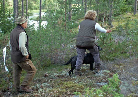 Landdir söndag