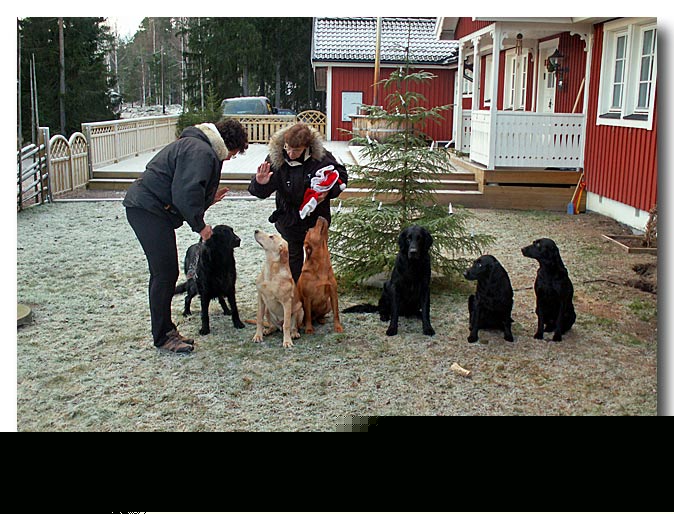 Ordning o reda